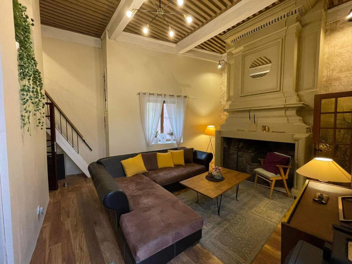 شقة "Maison Du Consul" Avec Terrasse - Centre Historique ناربون المظهر الخارجي الصورة